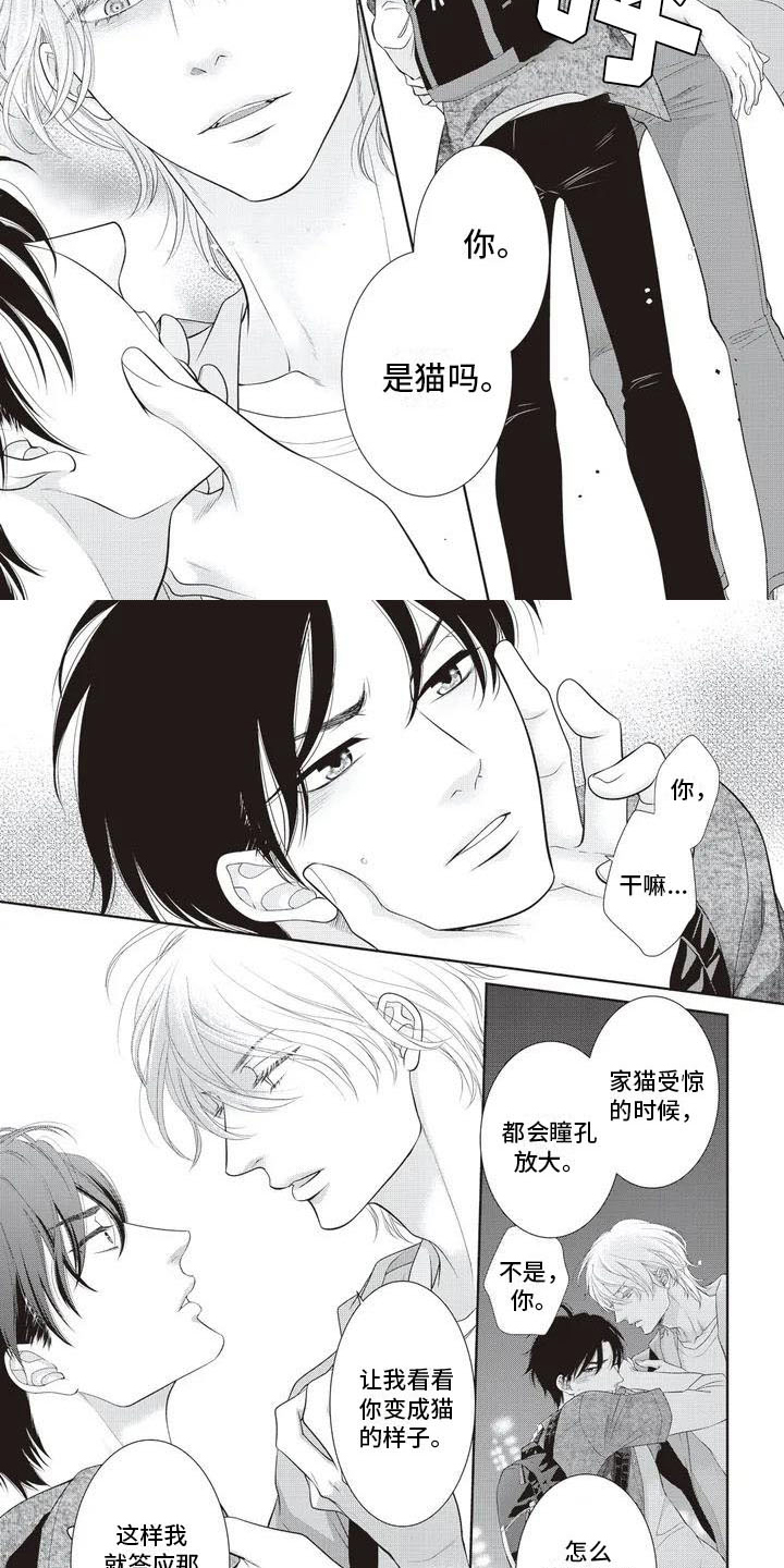 无情王子漫画,第3章：家猫1图