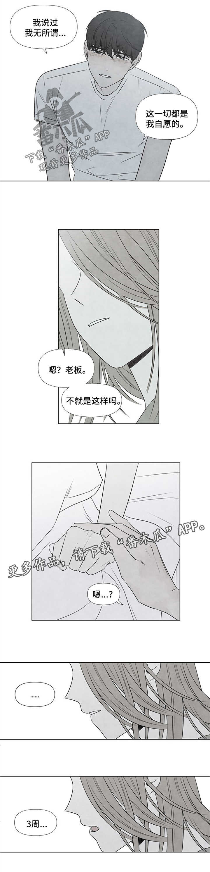 迷糊咖啡厅第一季漫画,第52章：还剩3周1图