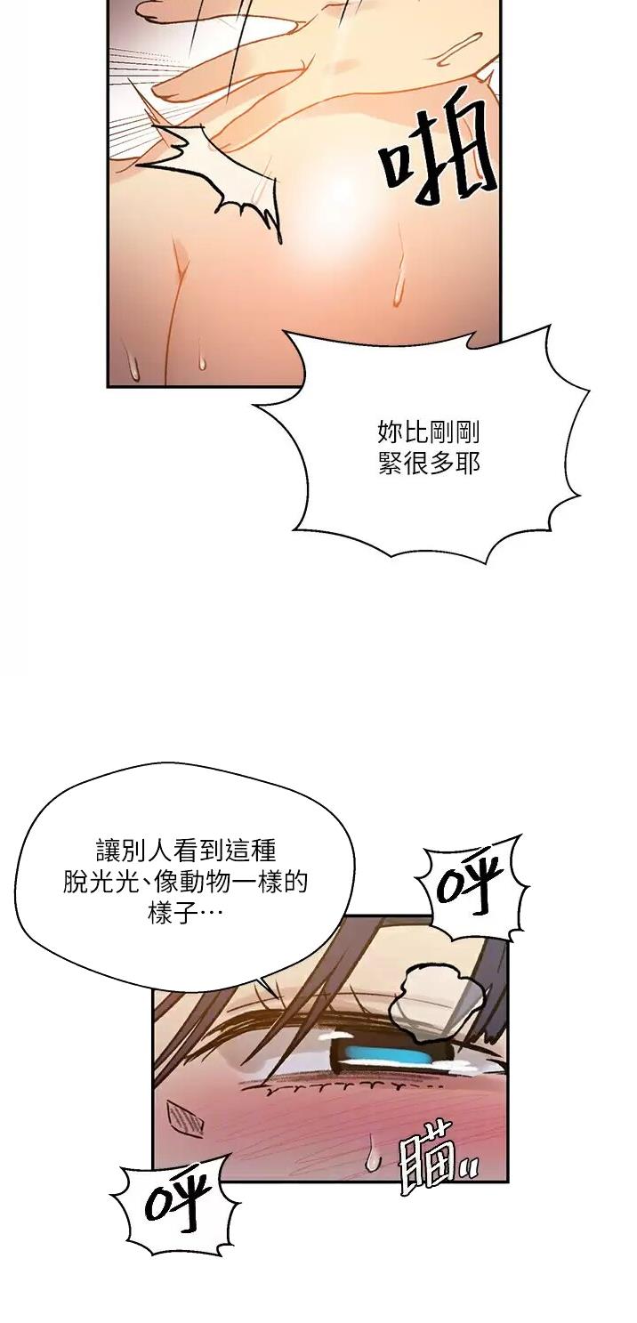 懵懂时光韩漫在线观看漫画,第221话2图