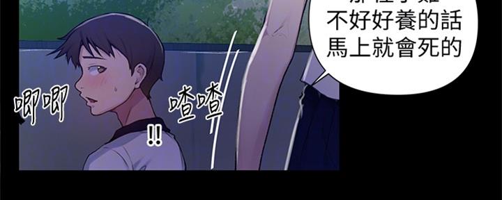 懵懂时光韩漫在线观看漫画,第118话2图