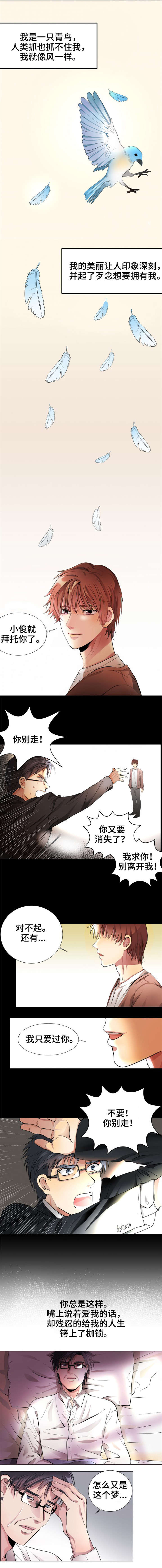 纯爱文化传播漫画,第1章：青鸟1图