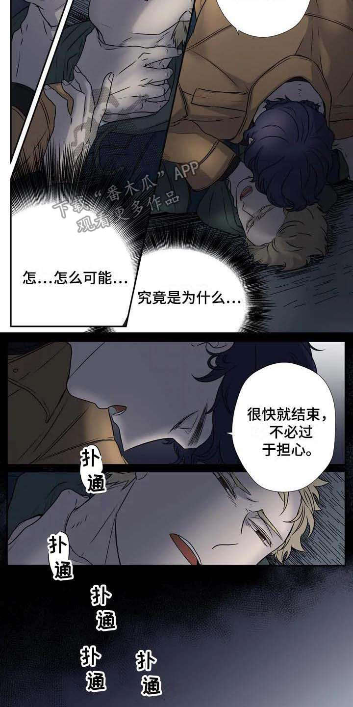 杀手是什么职业漫画,第4章：认错人2图