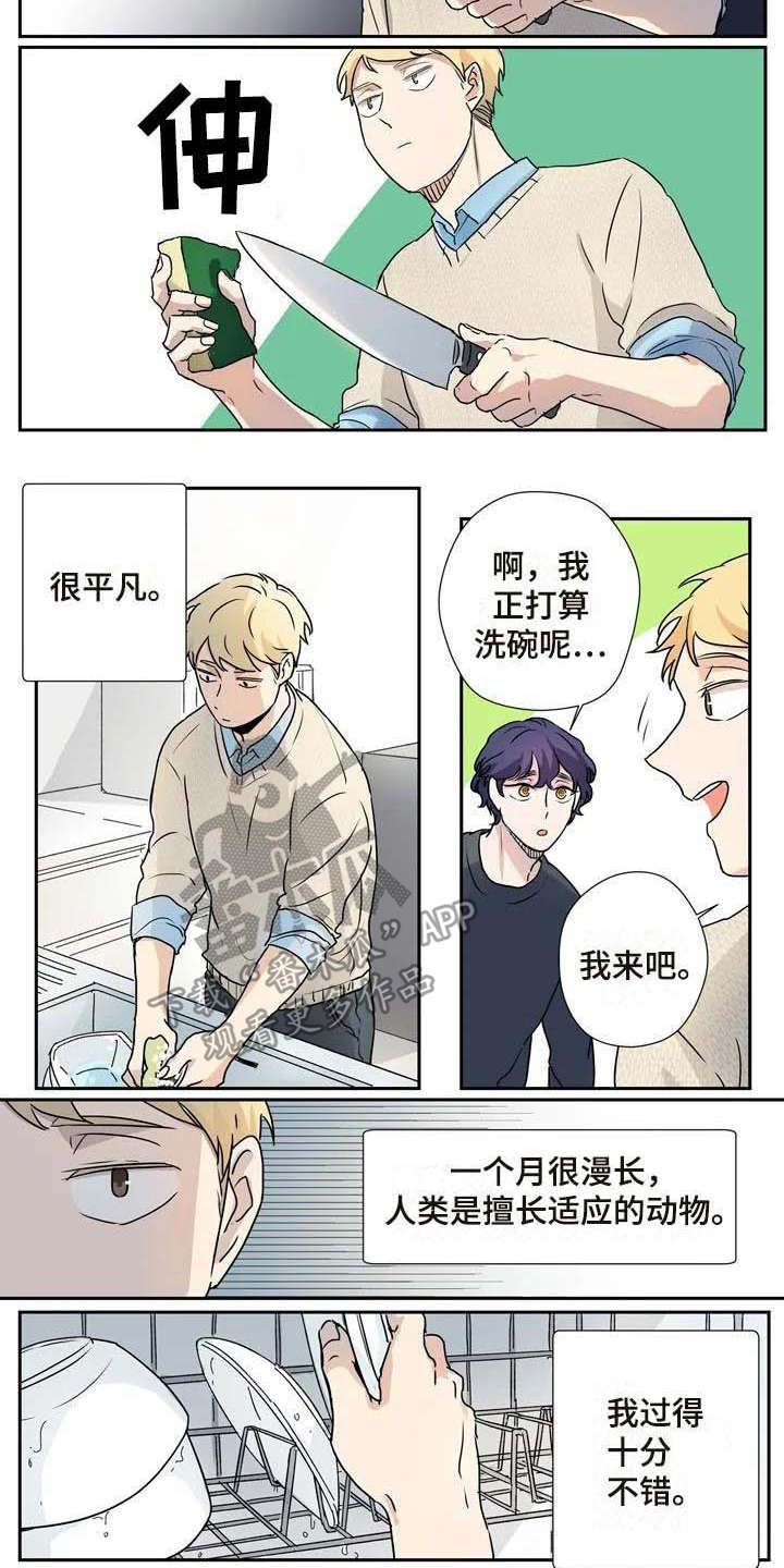 杀手室友动漫推荐漫画,第13章：混淆2图