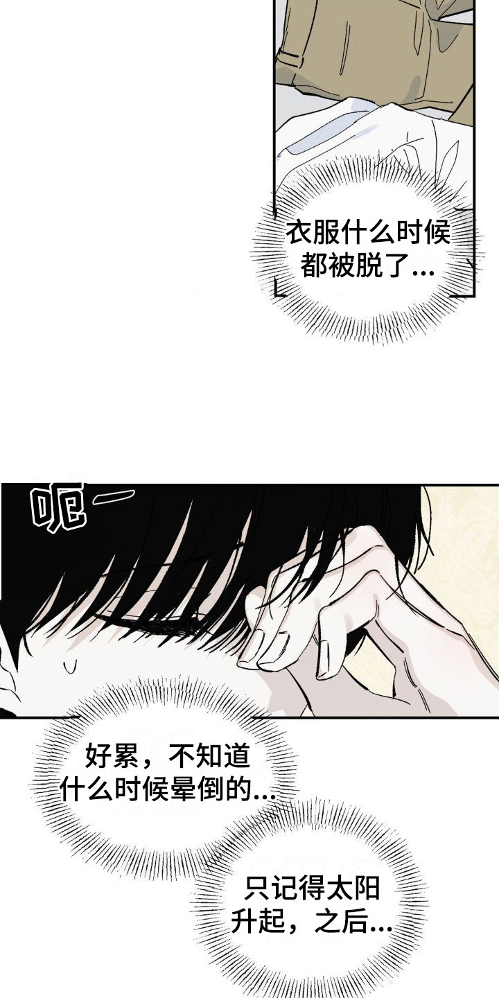 极致沉迷小说漫画,第6章：肚子疼2图