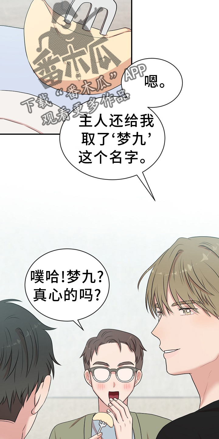 机器人男友免费100集漫画,第37章：命令2图