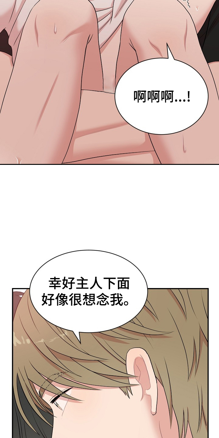 机器人男友生孩子漫画,第31章：满意1图