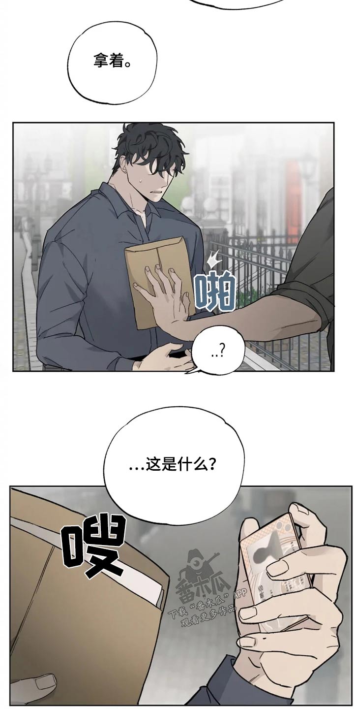 极道之妻系列电影漫画,第38章：名字2图