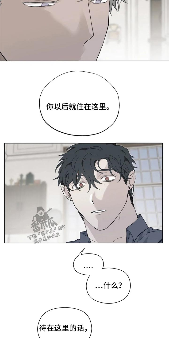 极道之妻1-42免费观看漫画,第39章：那是什么1图