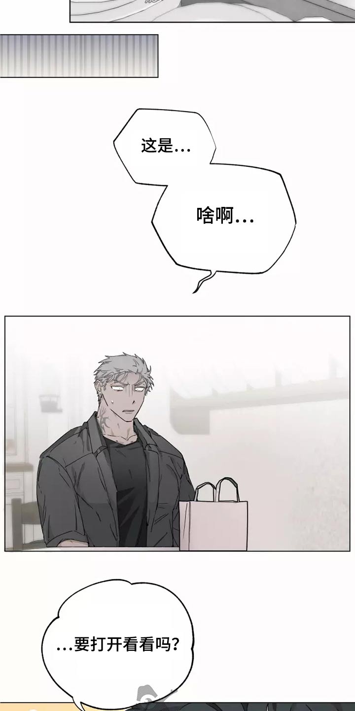 极道之妻纹身漫画,第40章：打开看看2图