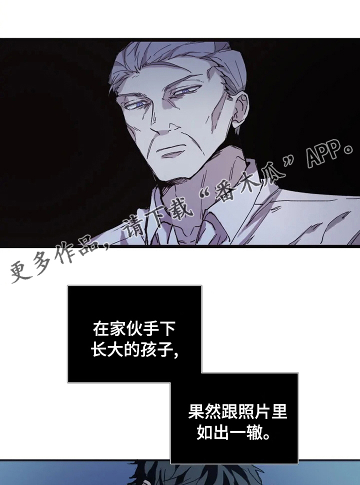 极道之花活动能获得什么漫画,第17章：做点别的1图