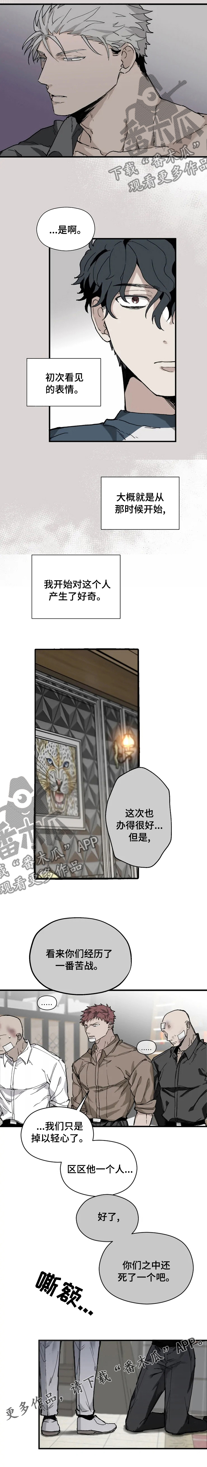 极道之妻必死无疑剧情漫画,第16章：好奇1图