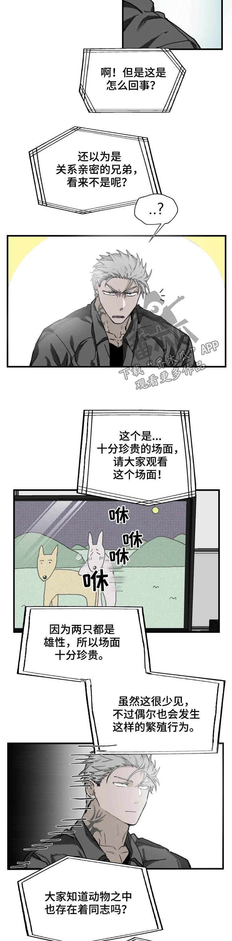 极道之交漫画,第14章：厌烦1图