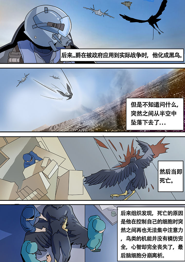 黑鸟app有训练计划吗漫画,第10章：2图