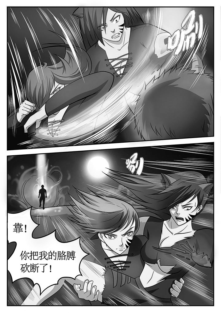 黑鸟计划漫画漫画,第77章：2图