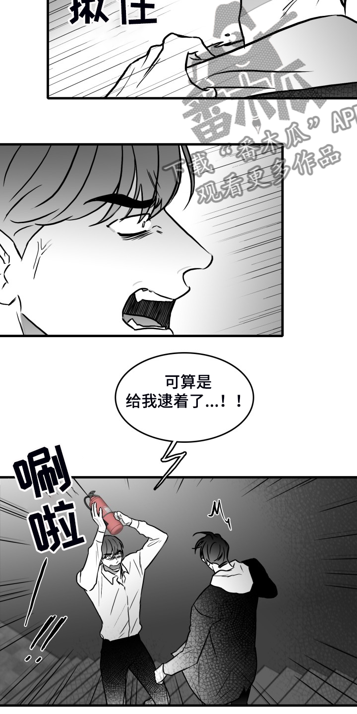 海边的异邦人电影版漫画,第67章：【第二季】又遇2图