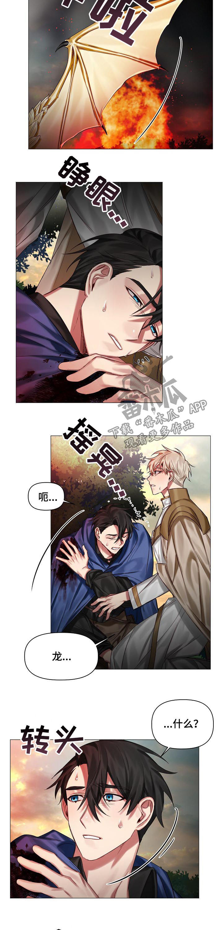 皇家骑士团2攻略漫画,第42章：化龙2图