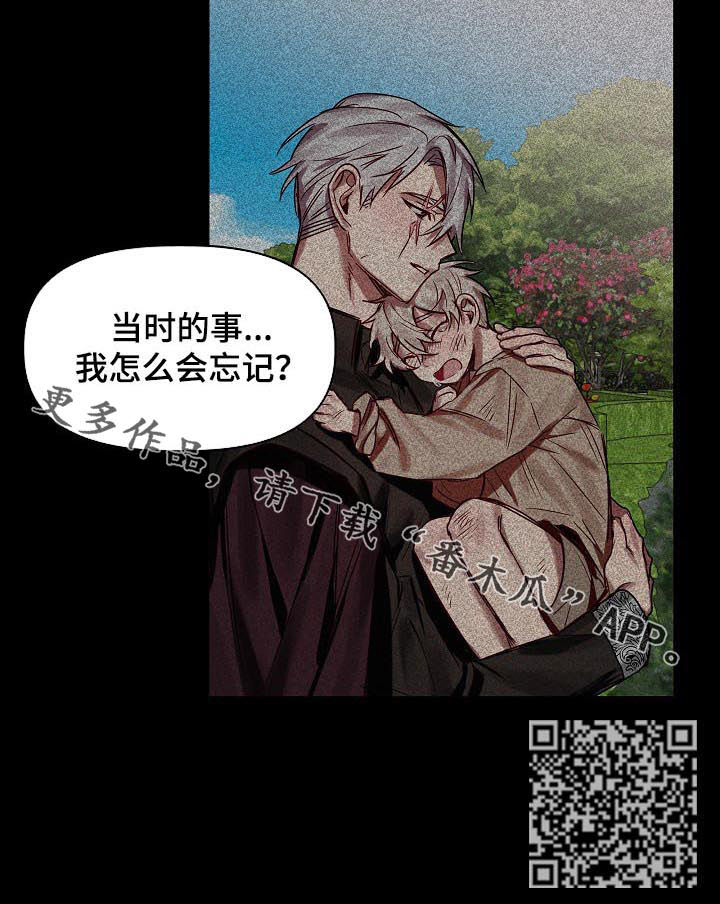 皇家骑士团重生神骑士漫画,第47章：番外：怎会忘记1图