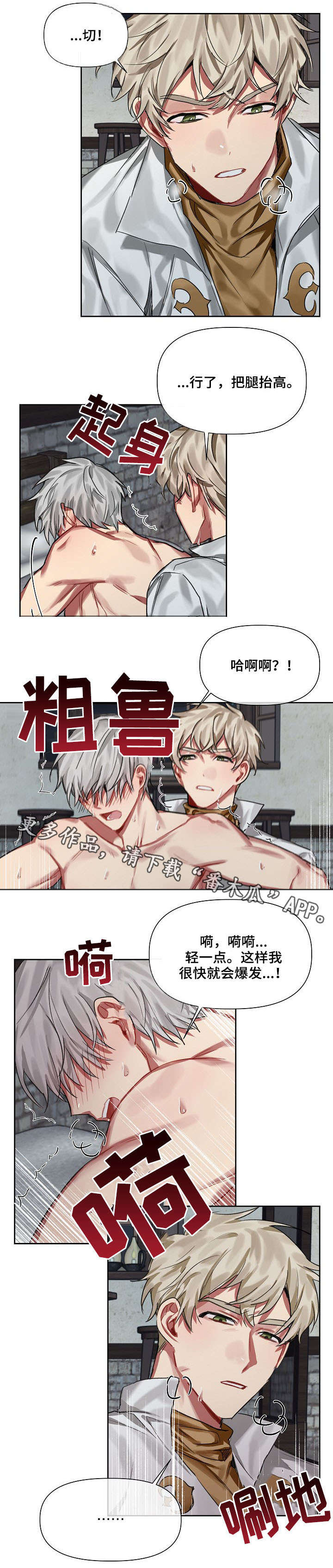 皇家骑士团在线观看漫画,第19章：爱慕2图