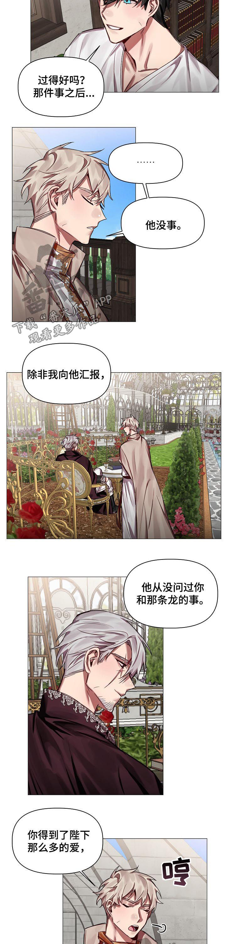 皇家骑士团重生神骑士漫画,第47章：番外：怎会忘记2图