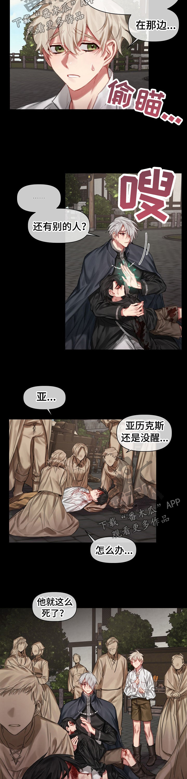 皇家骑士团重生死宫什么时候去漫画,第29章：二选一1图