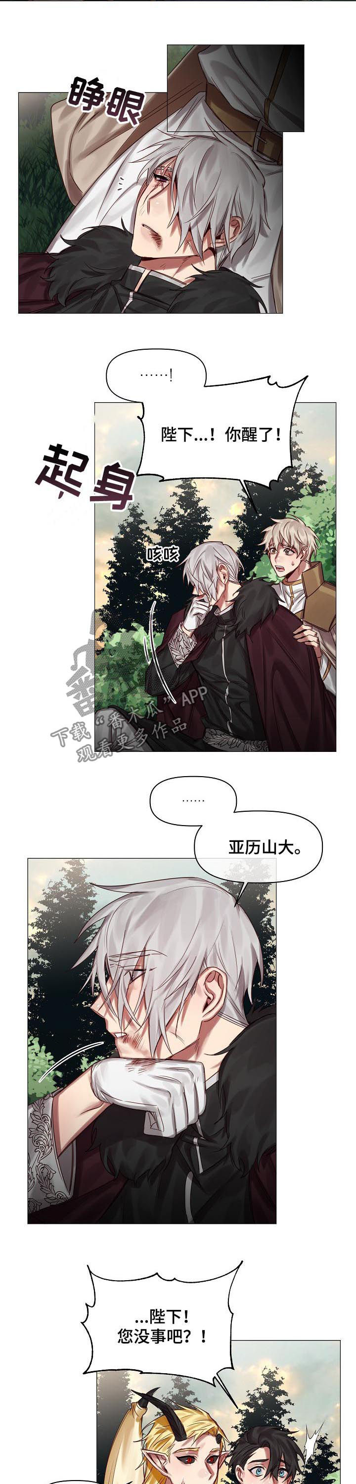 皇家骑士xo白兰地漫画,第46章：随便你们1图