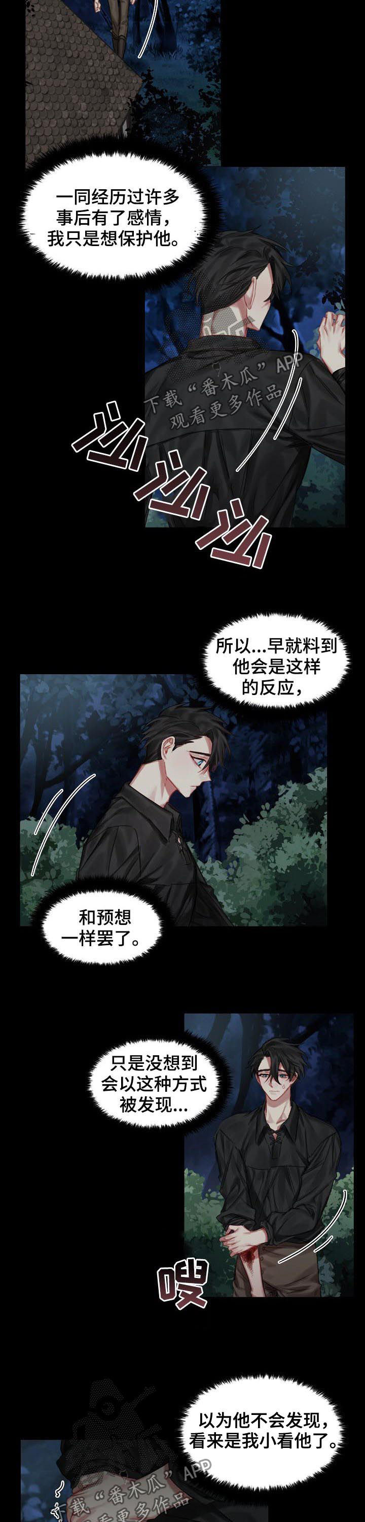 皇家骑士xo白兰地漫画,第31章：我爱他1图