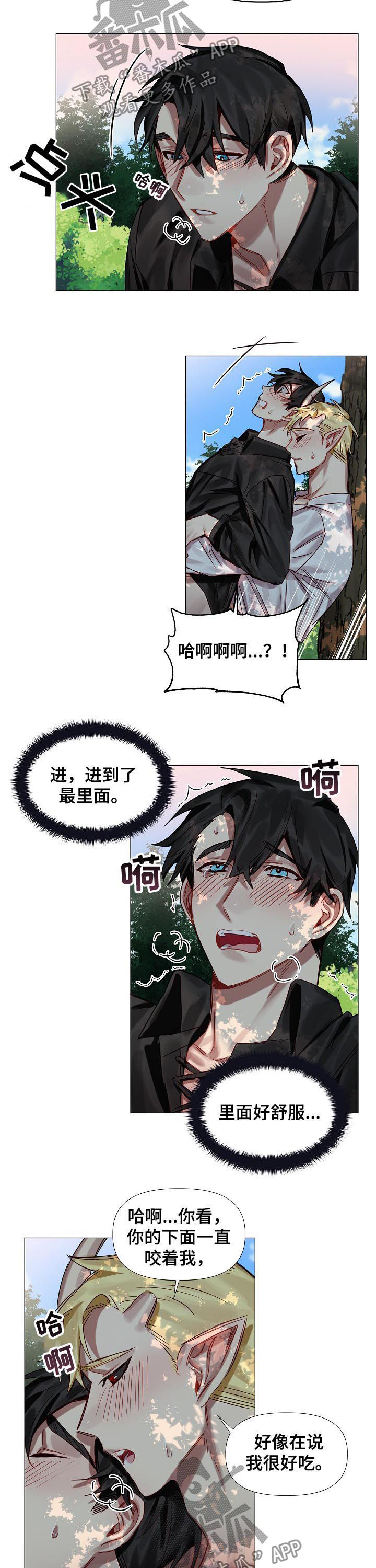 皇家骑士团命运之轮必练职业漫画,第50章：番外：还想玩？（完结）1图