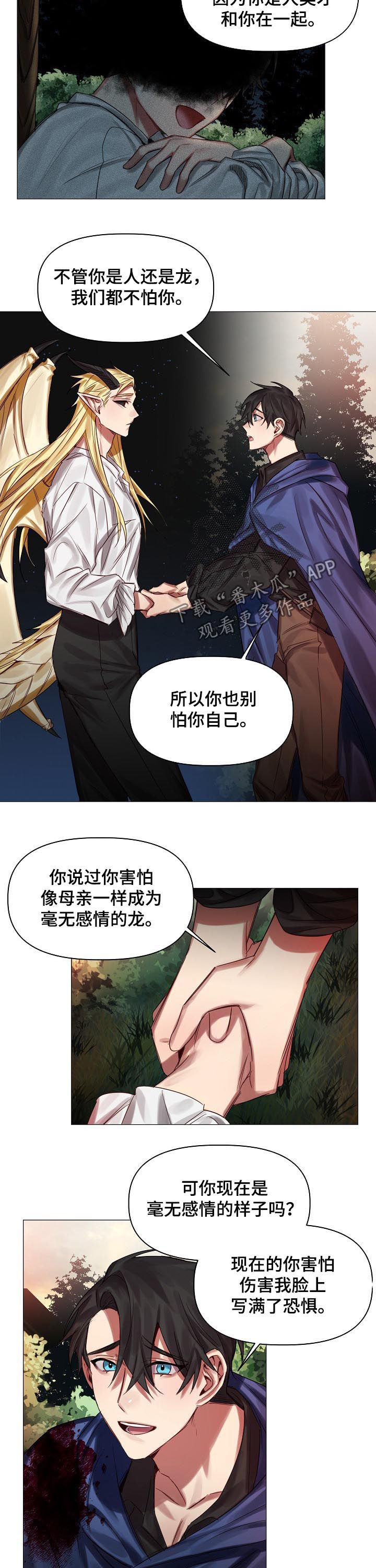 皇家骑士团重生抓龙技巧漫画,第45章：慢慢了解1图