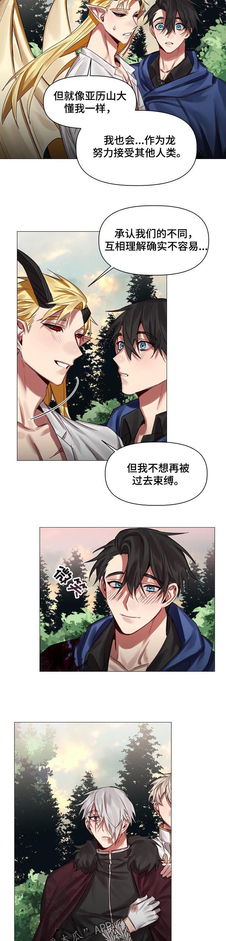 皇家骑士团:命运之轮漫画,第46章：随便你们2图