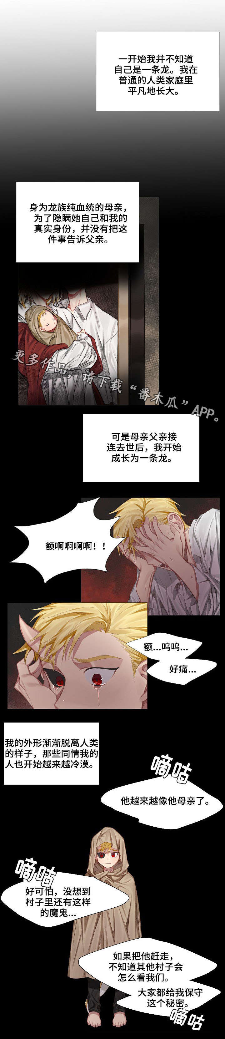 皇家骑士酒漫画,第3章：初见1图