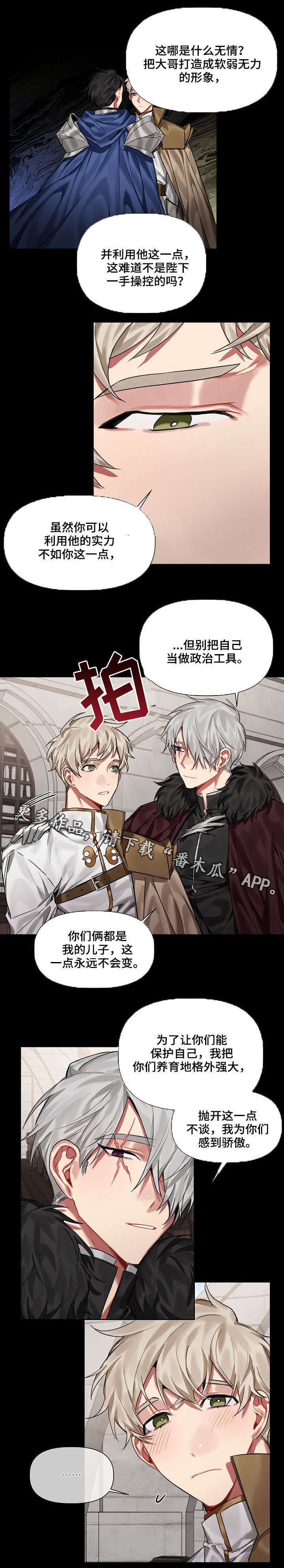 皇家骑士团在线观看漫画,第19章：爱慕1图