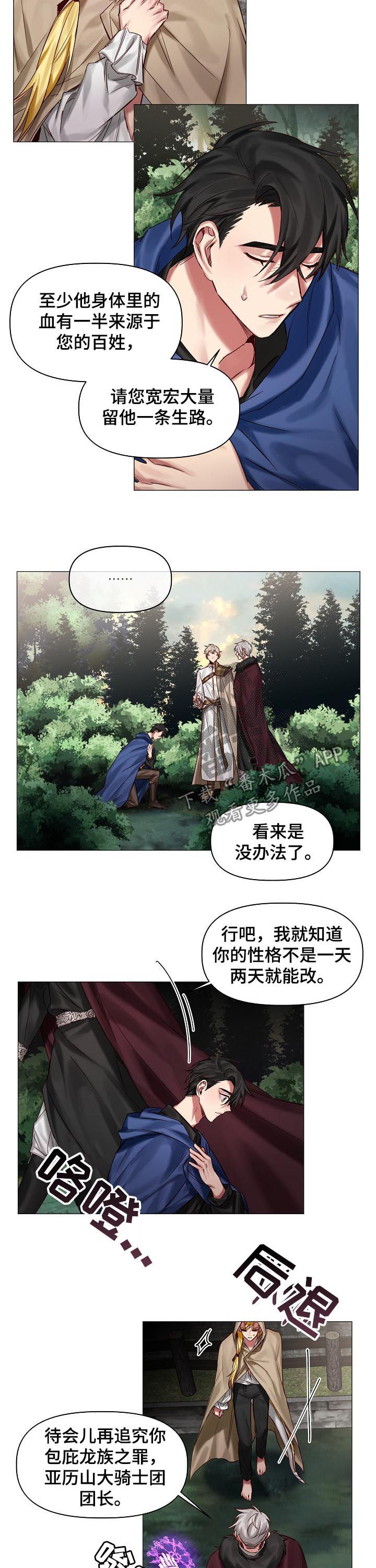 皇家骑士团全人物漫画,第38章：等很久了2图