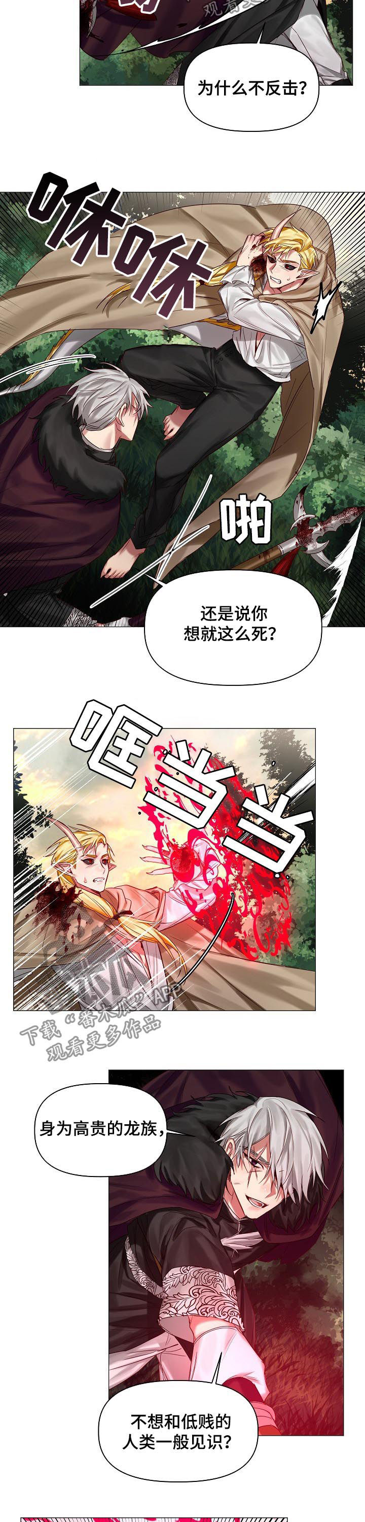 皇家骑士团命运之轮攻略漫画,第40章：保守的手段1图