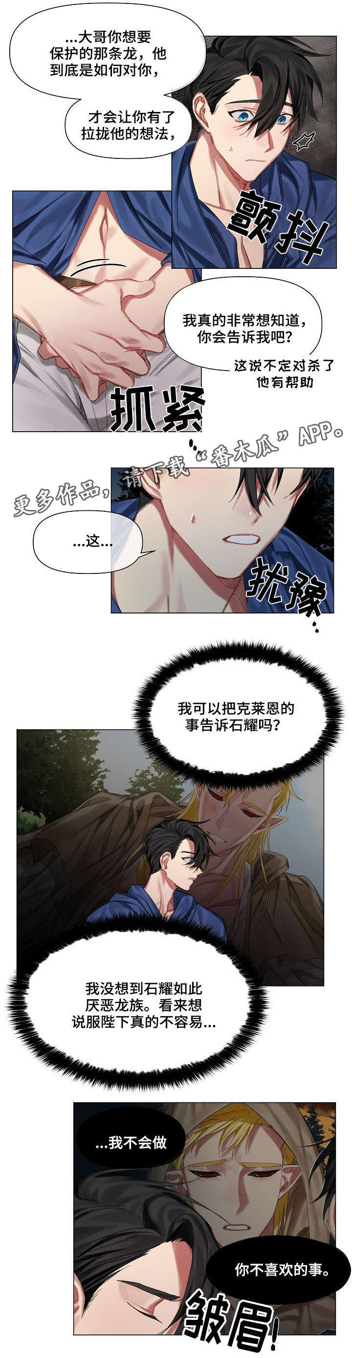 皇家骑士团命运之轮漫画,第13章：弟弟2图