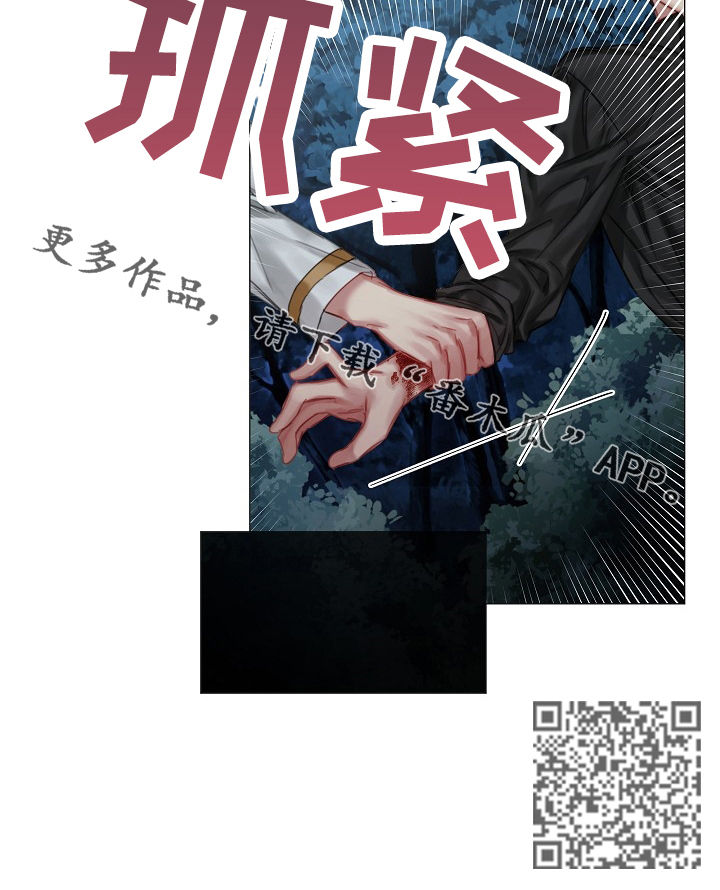 皇家骑士团2隐藏宝物地点漫画,第30章：我不是他1图