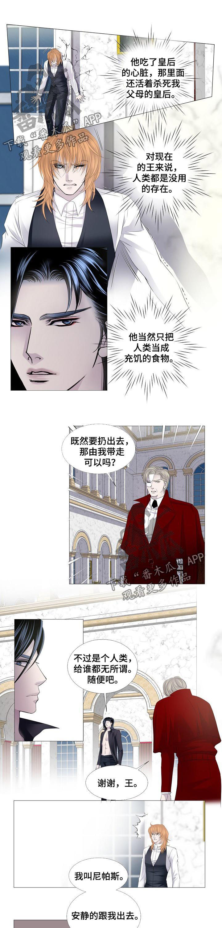 渴望之血漫画解说漫画,第126章：结局1图