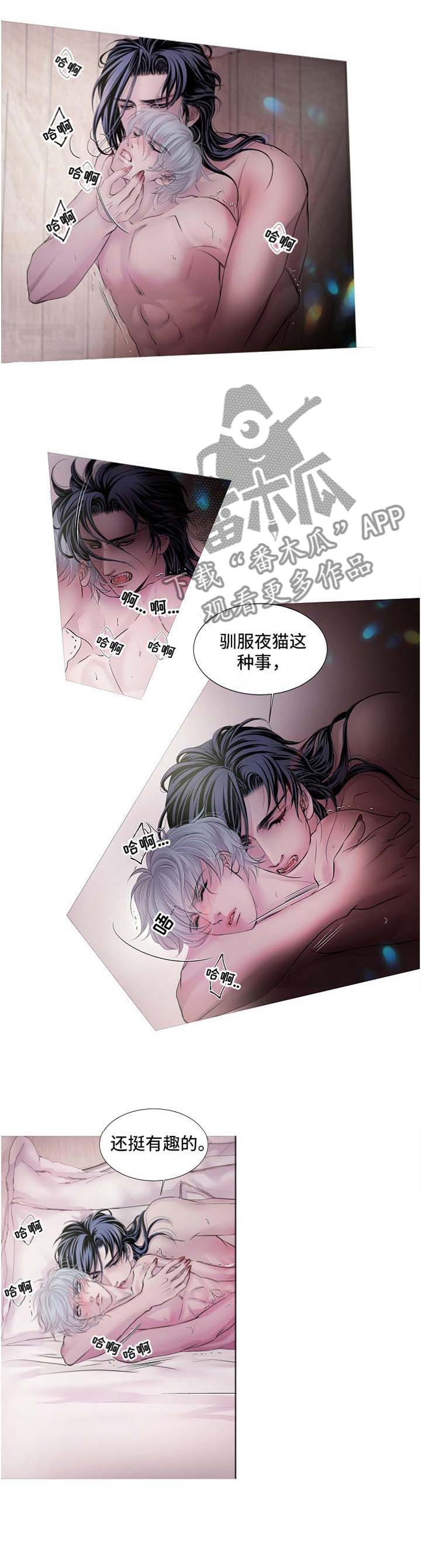 渴望猫粮漫画,第51章：把他交给我吧1图