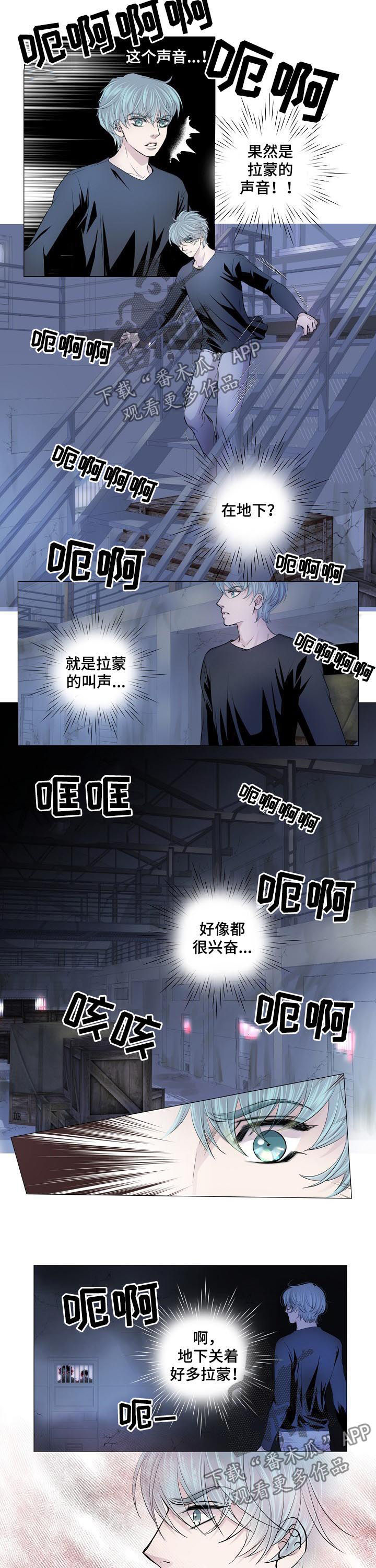 渴望之血漫画解说漫画,第151章：互相残杀1图