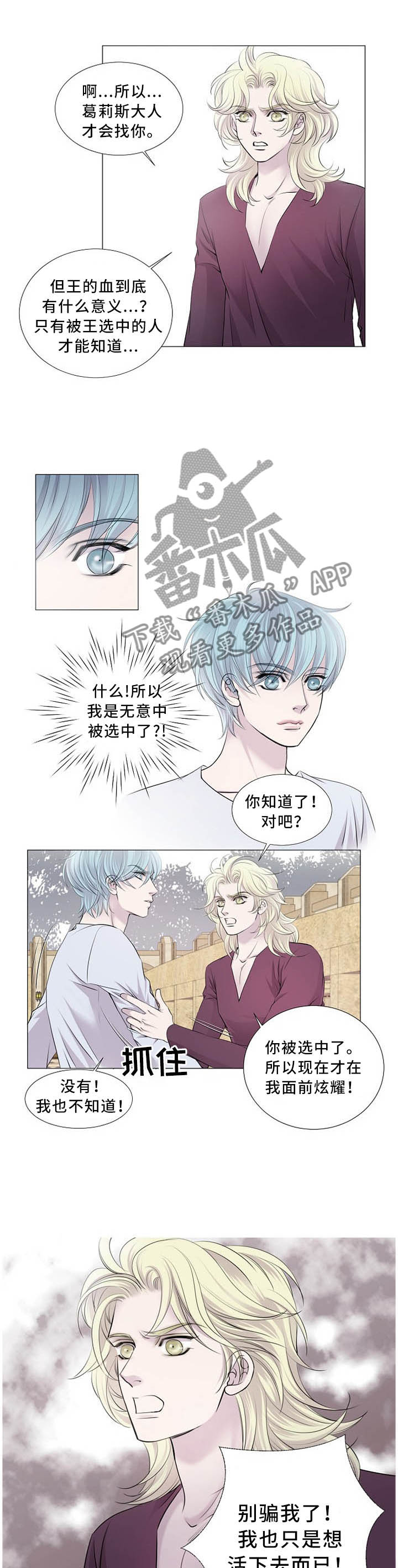 渴望之血又叫什么漫画,第104章：正确的选择1图