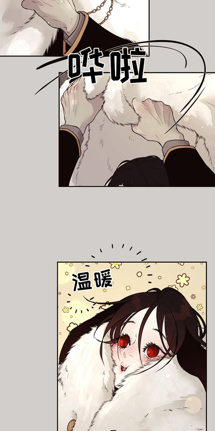 北极兔漫画,第3章：跟随2图