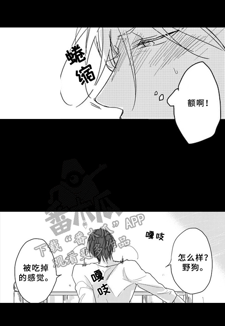 甜蜜的生活电影漫画,第14章：默契1图