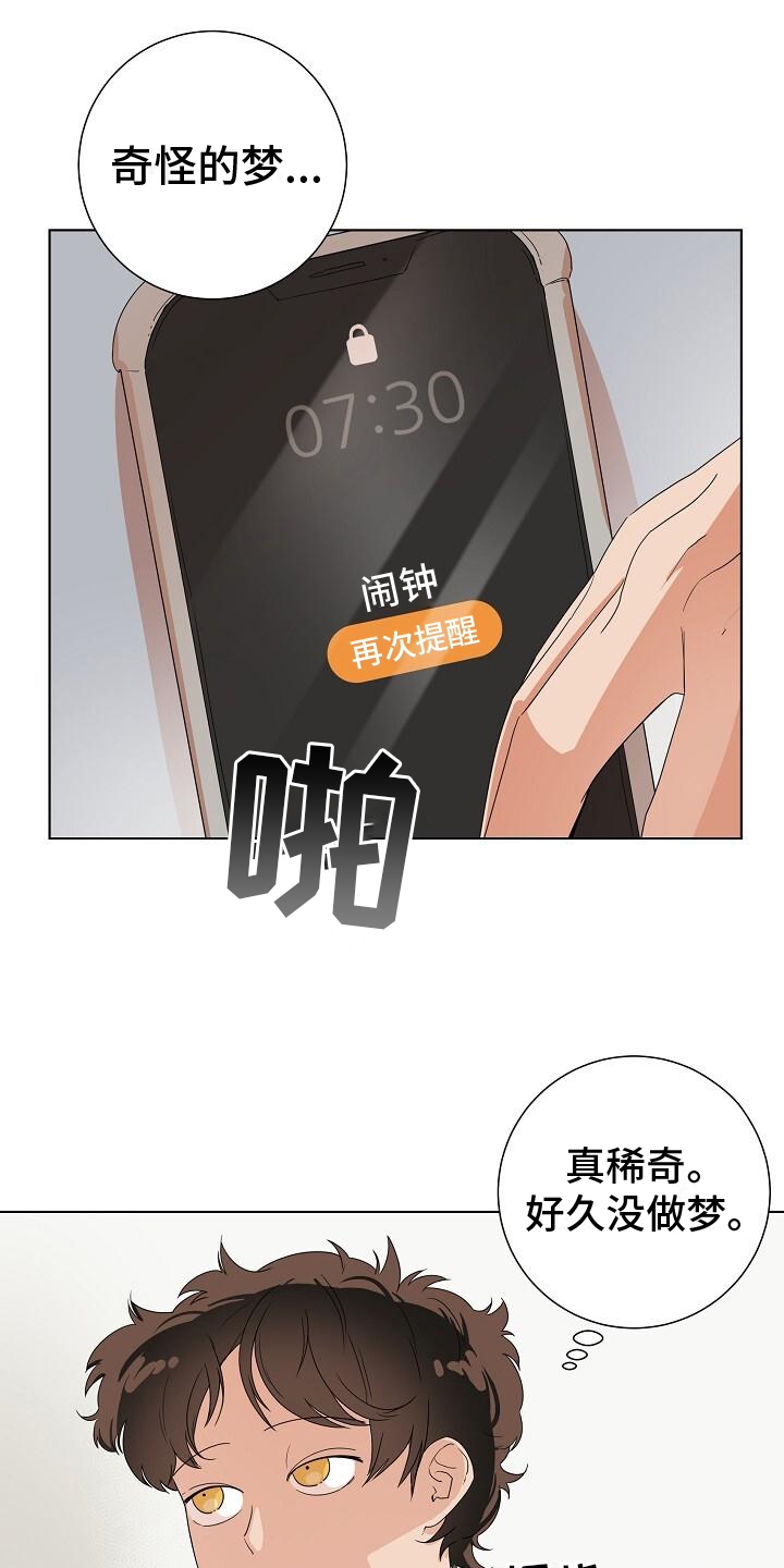 阴霾的日子什么时候能过去漫画,第1章：梦的开始2图