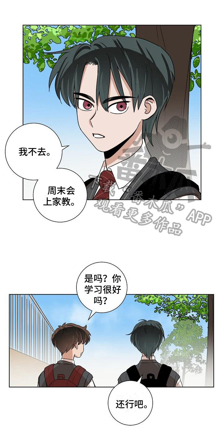 阴霾的霾什么意思漫画,第21章：学习1图