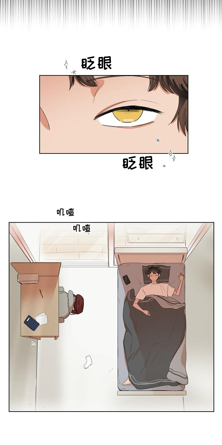 阴霾中的阳光漫画,第1章：梦的开始2图