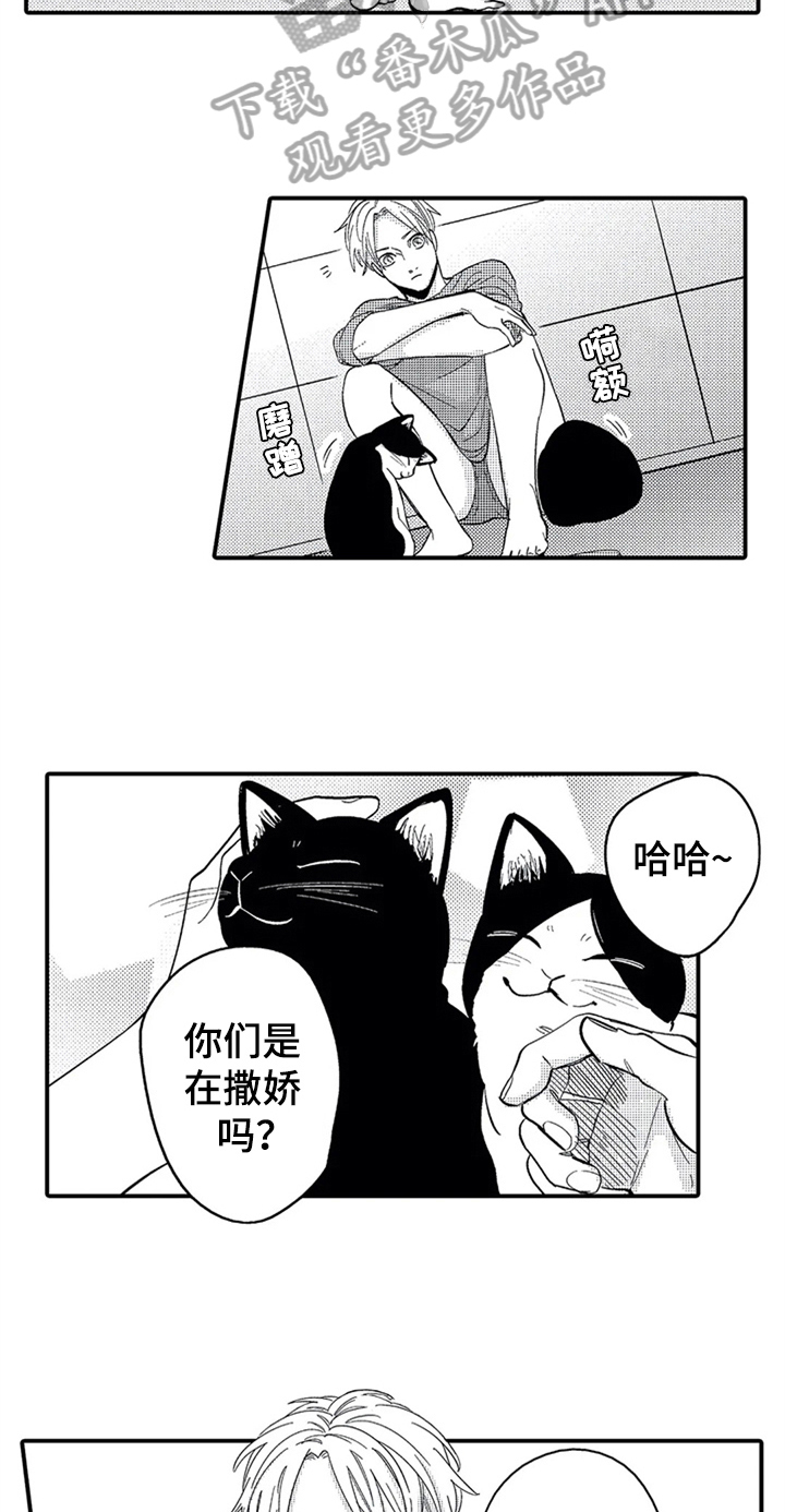 经纪人待遇最新消息漫画,第26章：安排2图