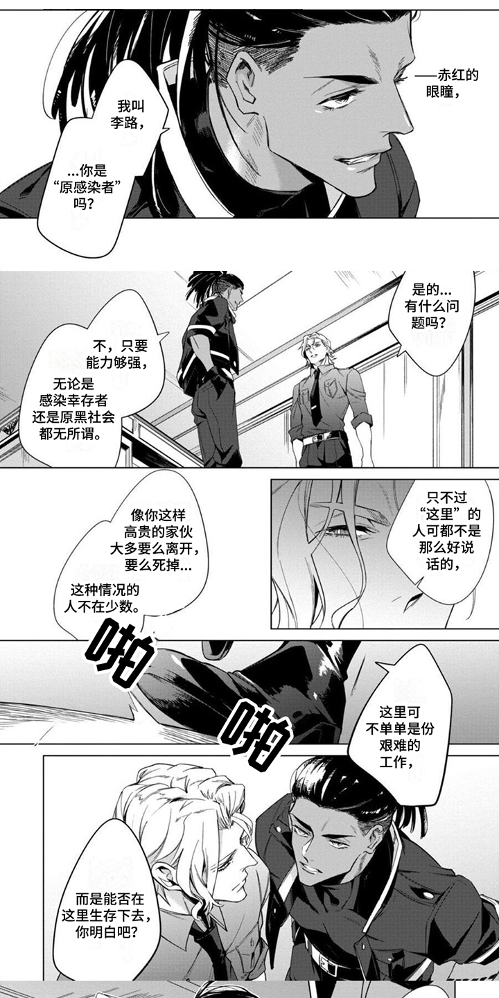 嗜血灰熊电影漫画,第2章：不和1图