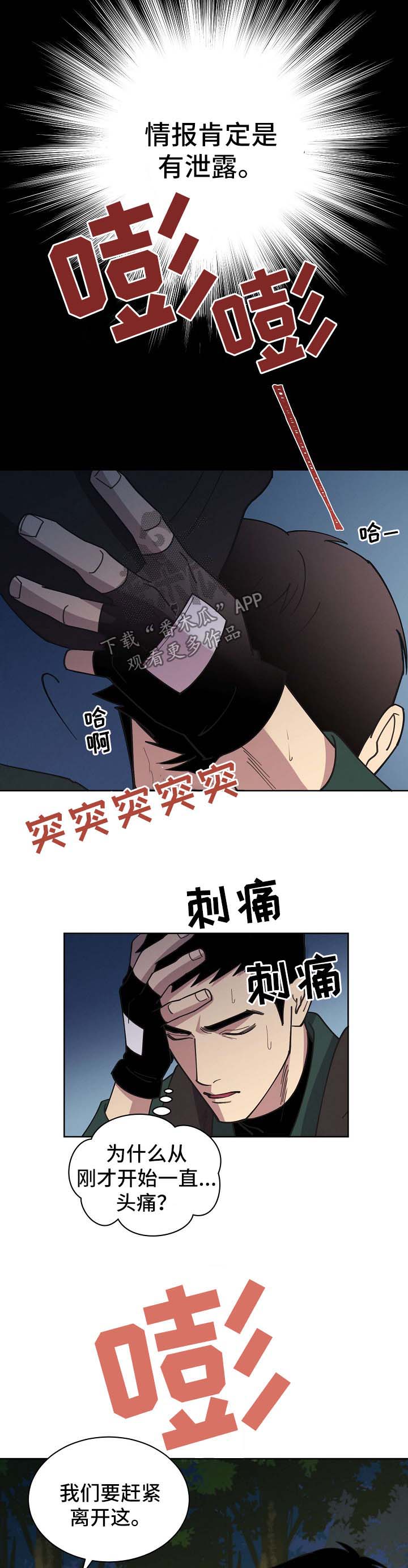 保护条约漫画,第68章：【第二季】第一次的繁殖期1图