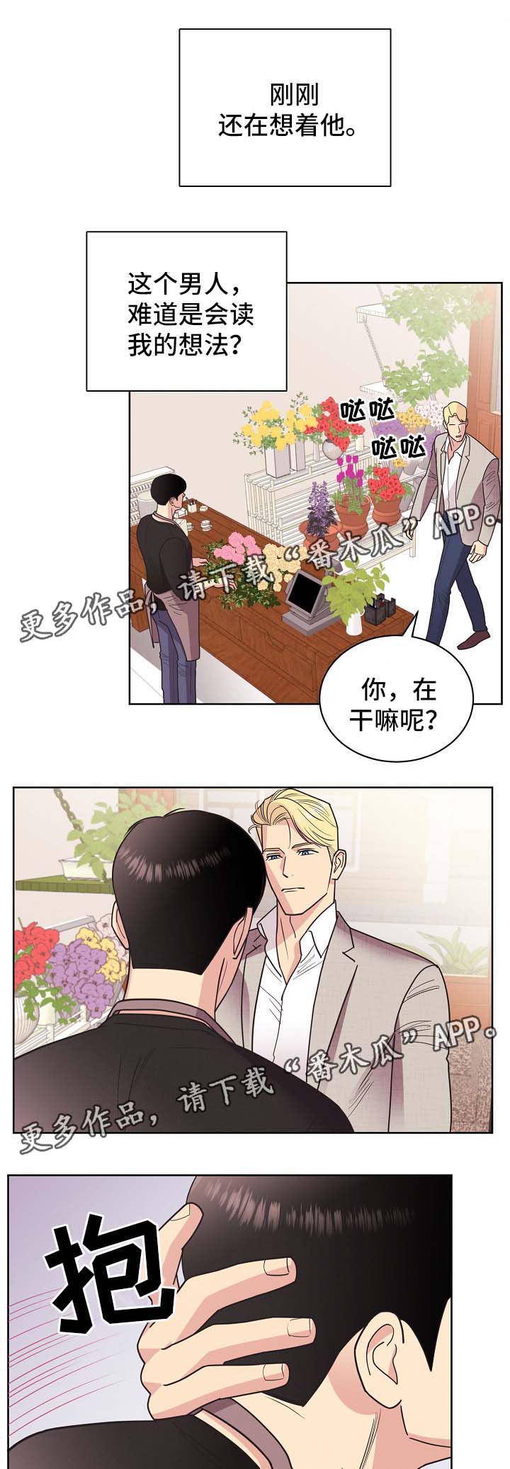 保护条约漫画阅读漫画,第43章：不能被发现1图