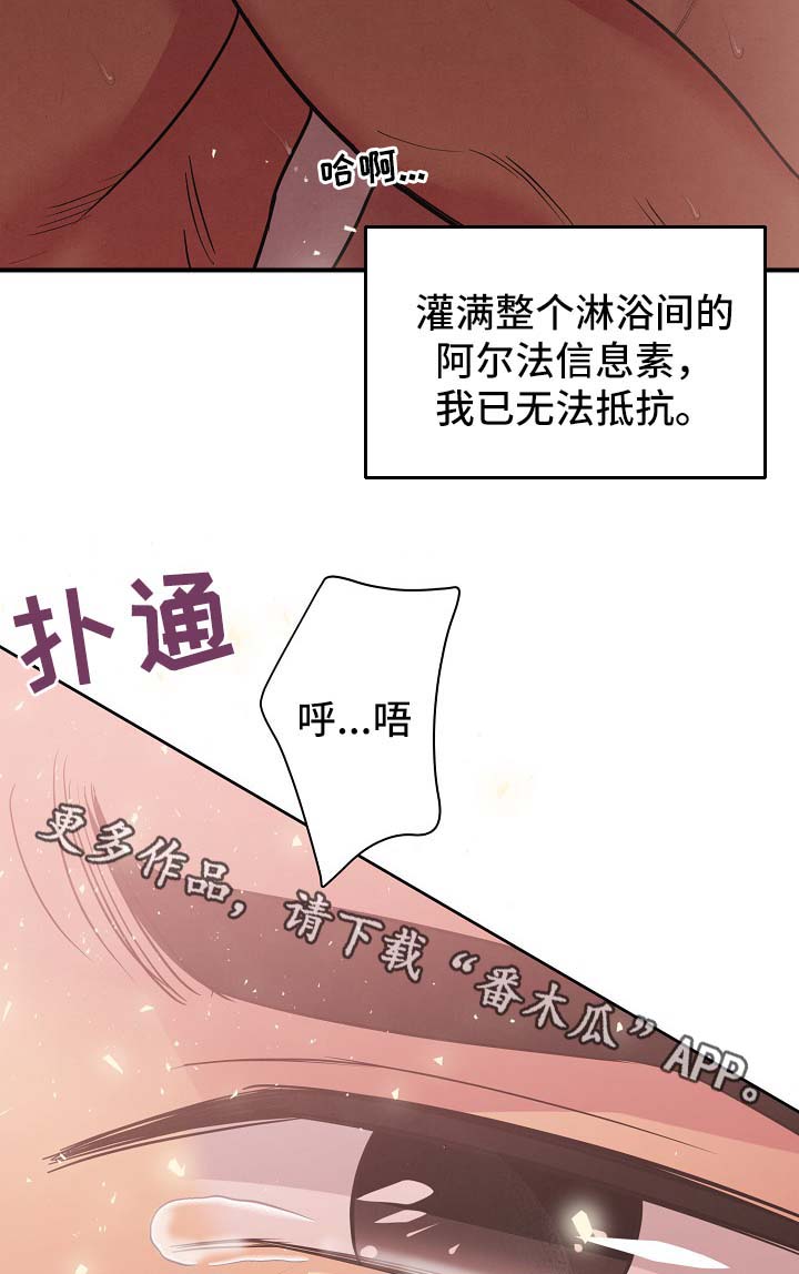 中朝保护条约漫画,第37章：看来是疯了1图