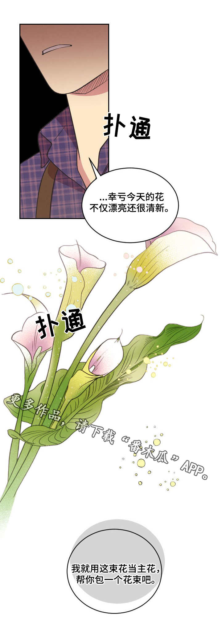 保护条约漫画,第6章：本杰明1图